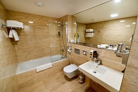 Deluxe Double/Twin Room