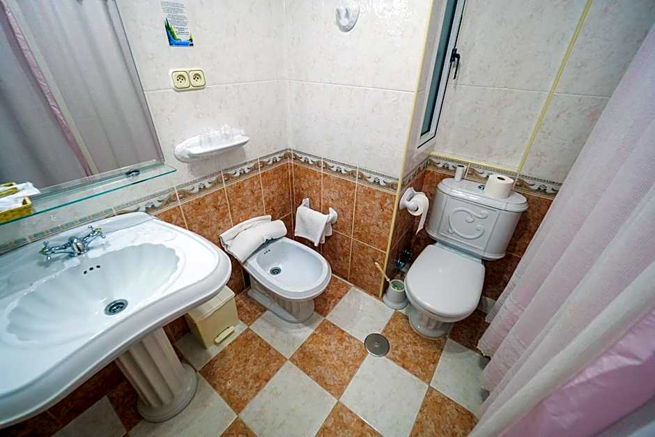 Hotel Flor de la Mancha