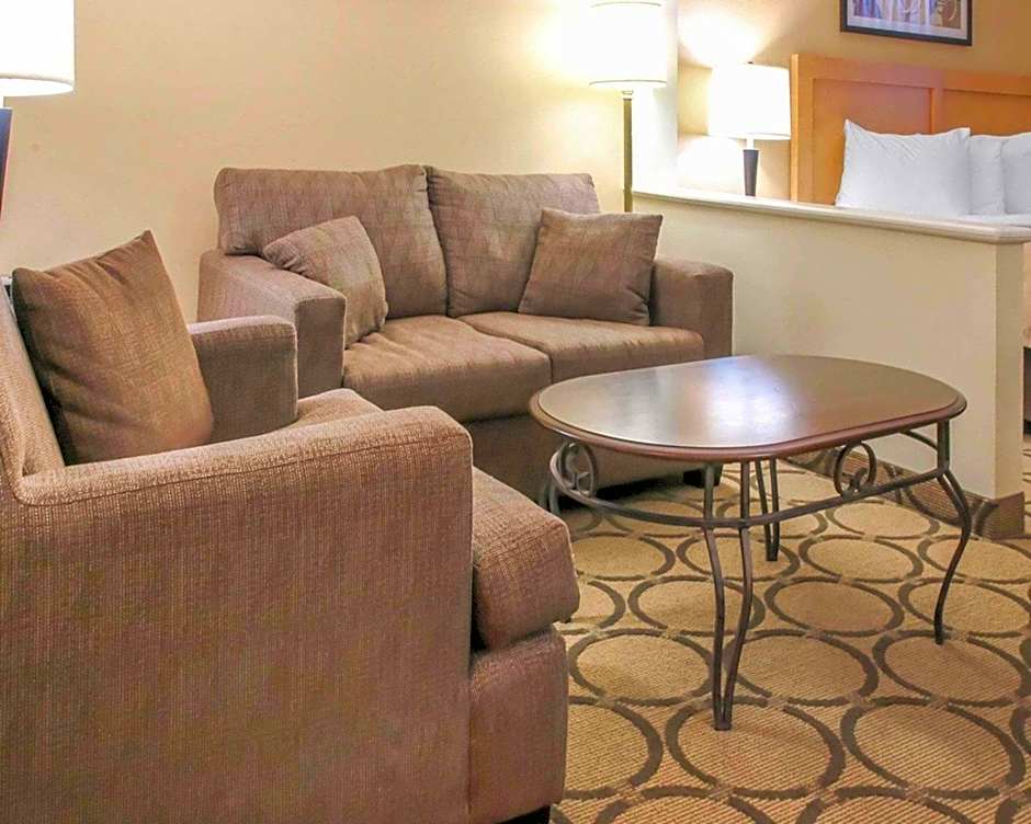 Comfort Inn South