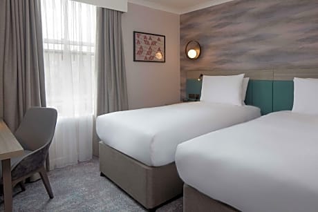 Twin Accessible Guest Room