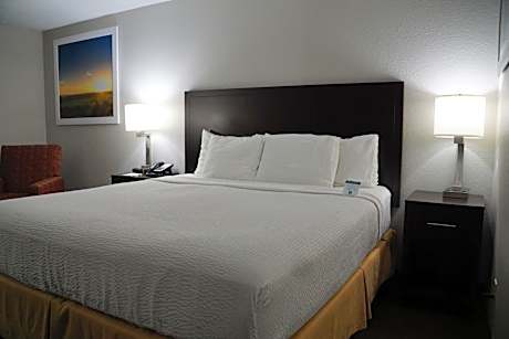 King Room - Non-Smoking