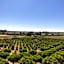 Tenuta degli Agrumi
