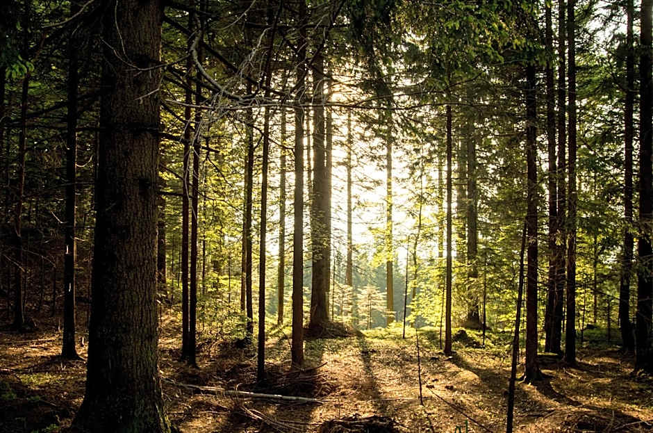 Hostel L'Ost - Ostello di Grumes