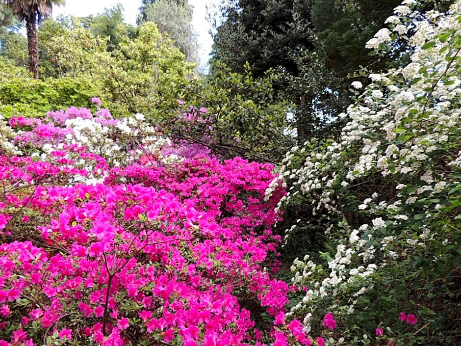 B&B Villa Margherita