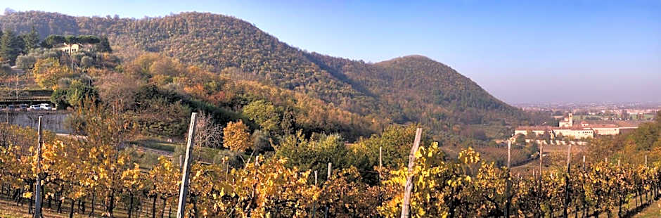 Fattoria Busa dell'Oro