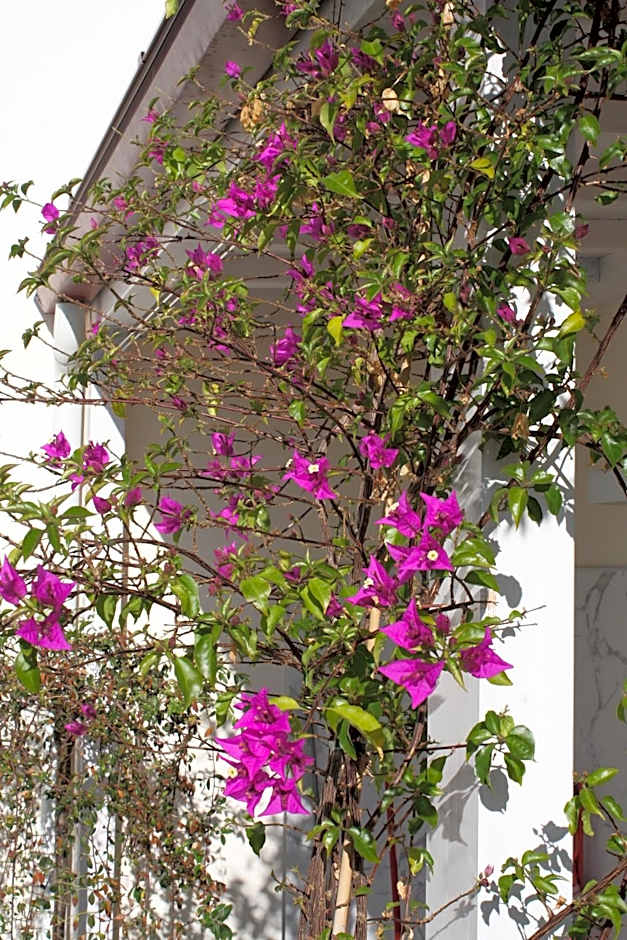 Le Marinelle Aff Trani