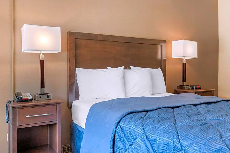 Rodeway Inn Chicago