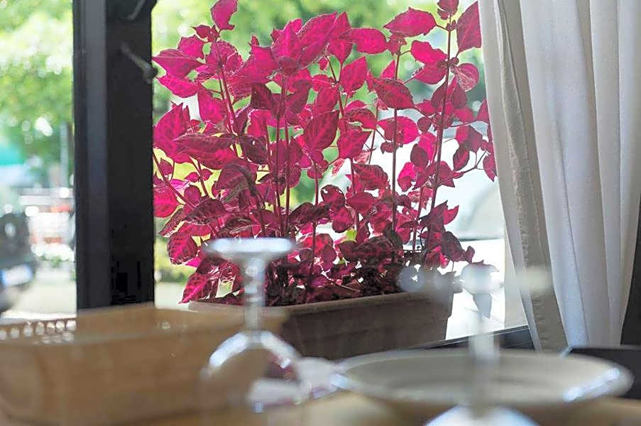 Hotel Annarita-mezza pensione plus- spiaggia inclusa