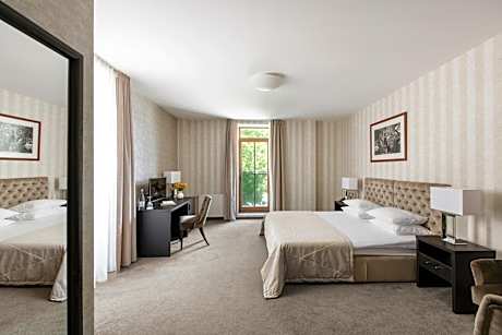 Deluxe Double or Twin Room