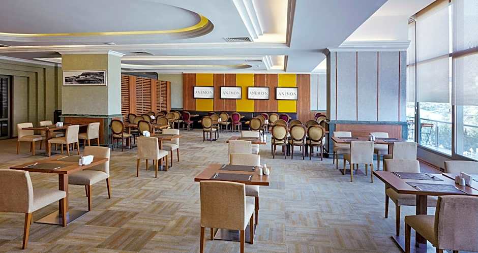 Anemon Manisa Hotel