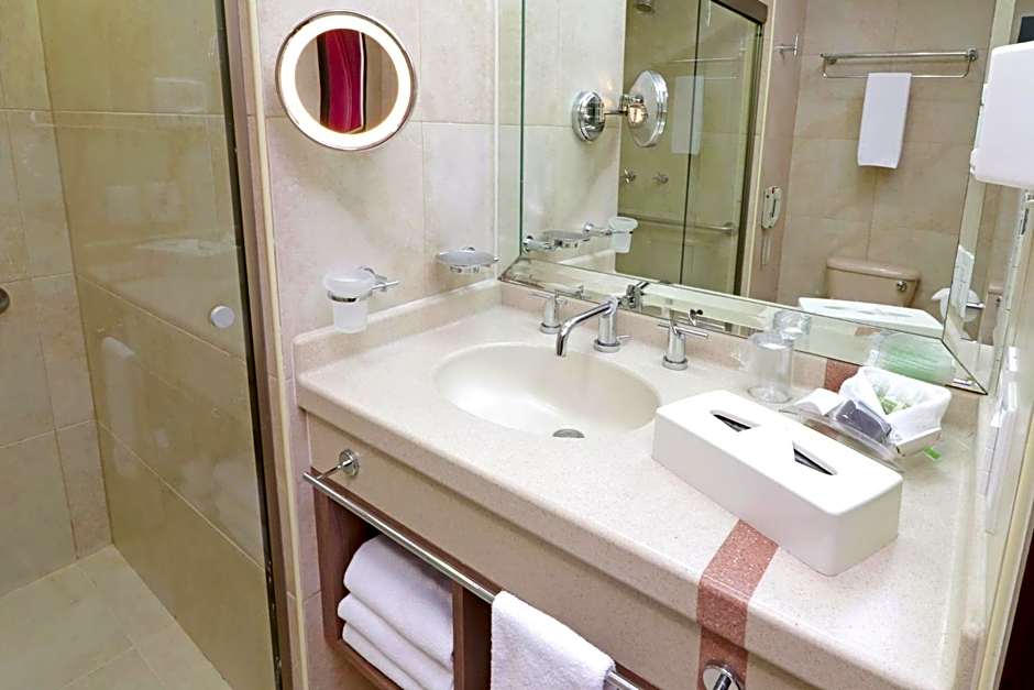 Holiday Inn Hotel & Suites Mexico Medica Sur By IHG