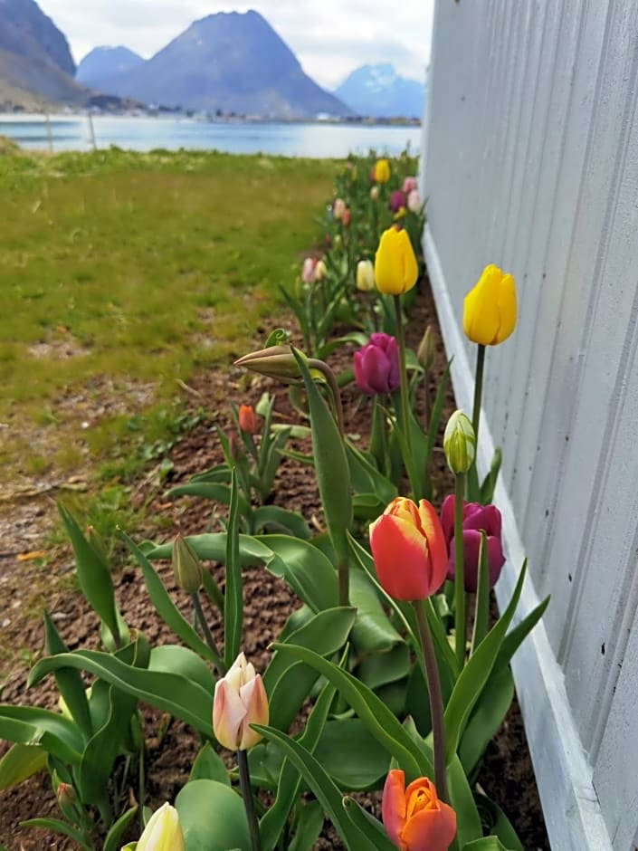 BanPim Beachside Lofoten