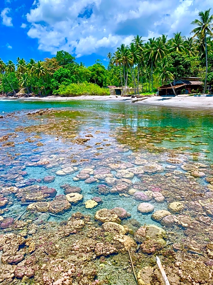 Pristine Paradise Dive Resort Una Una