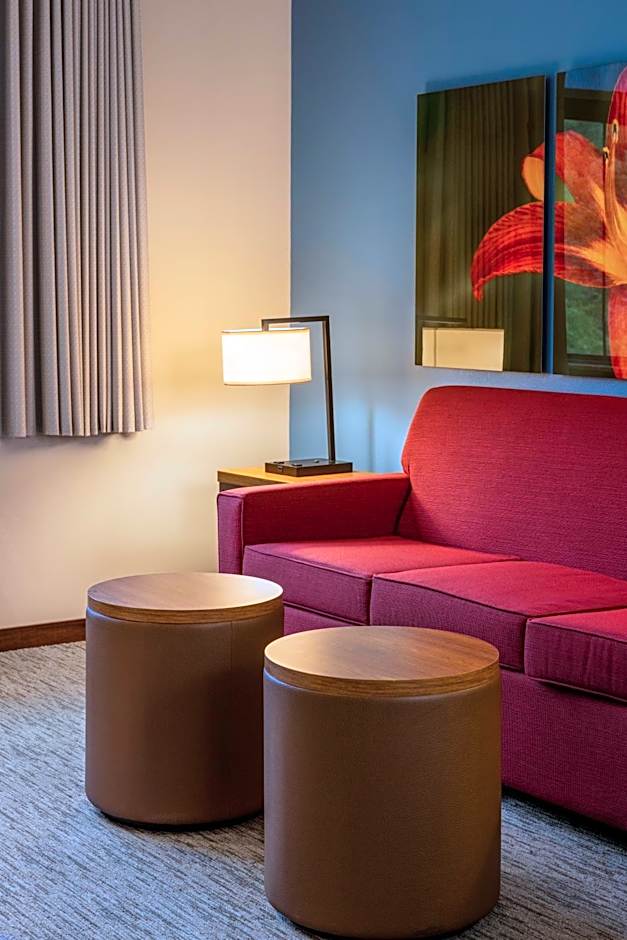 Photo 1 of 5 of 1 King Bed Suite