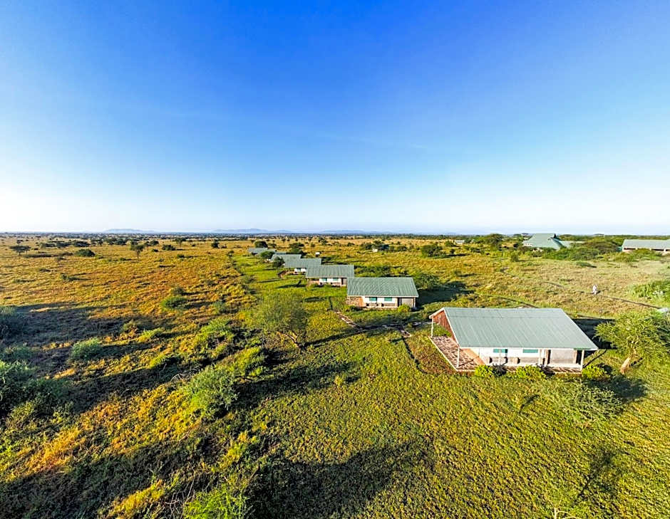 Africa Safari Serengeti Ikoma