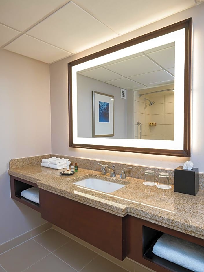 Sheraton Memphis Downtown Hotel