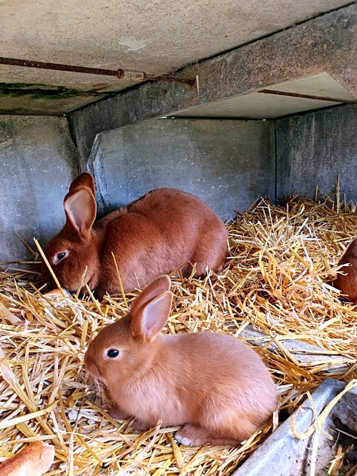 La ferme de Lec'h Hameury