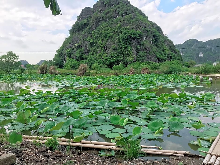 Trang An Lim Garden