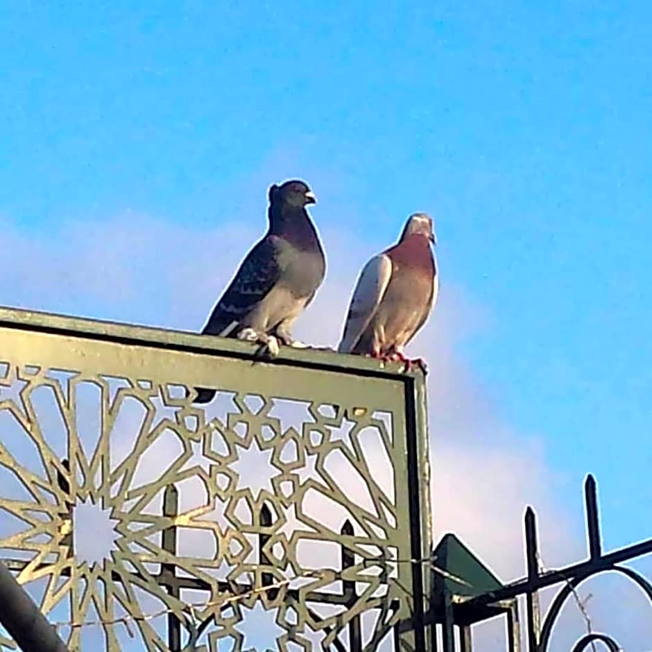 Riad La Porte du Bouregreg