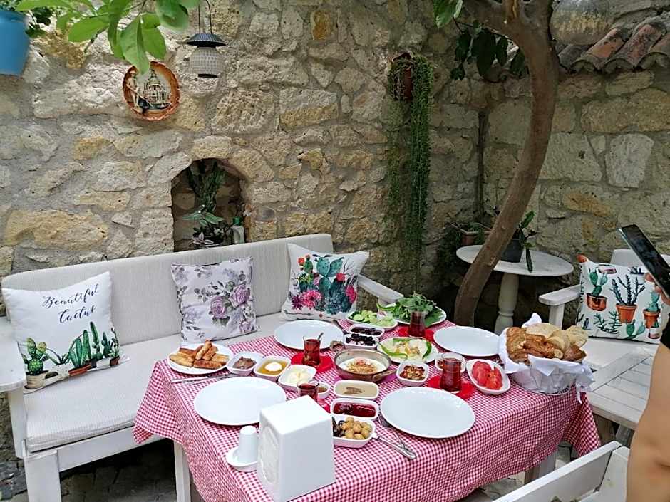kaktushan otel