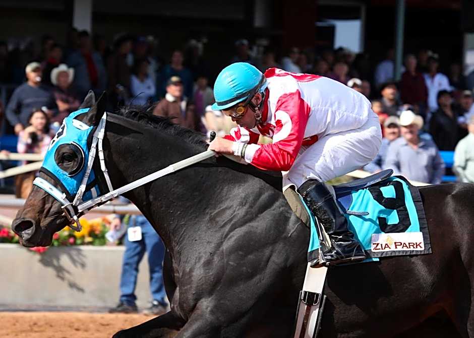 Zia Park Casino, Hotel, & Racetrack