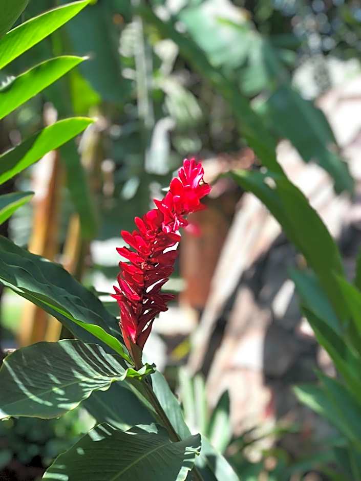 Pousada Rancho do Ralf