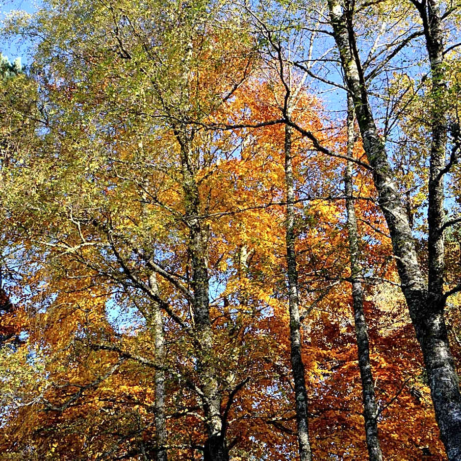 Ecoparc Des Monédières