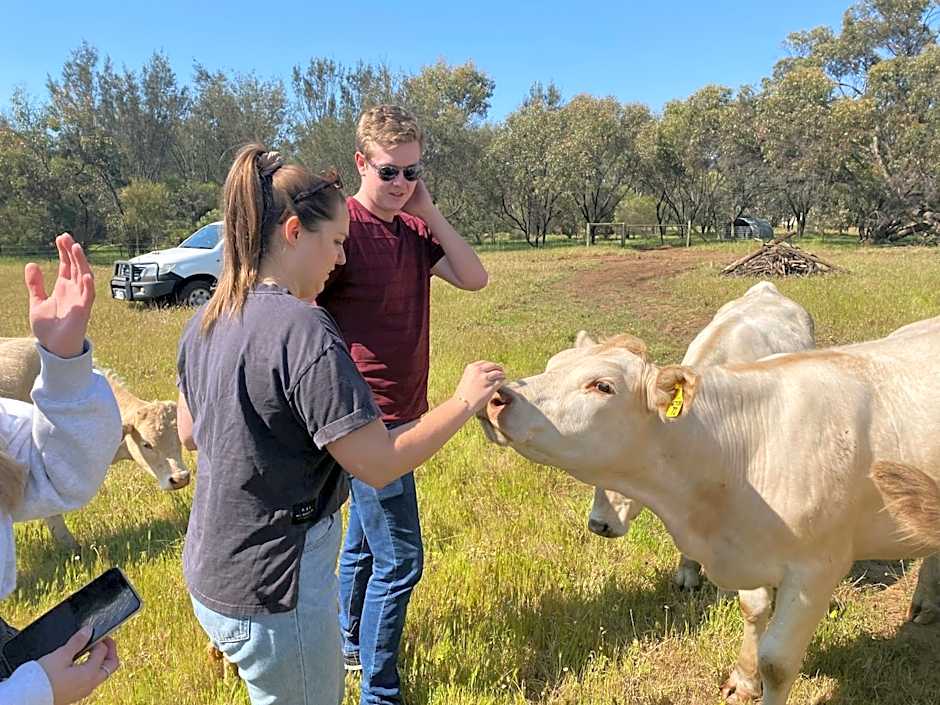 Sandalwood Downs Fabulous Farm Stay TOODYAY