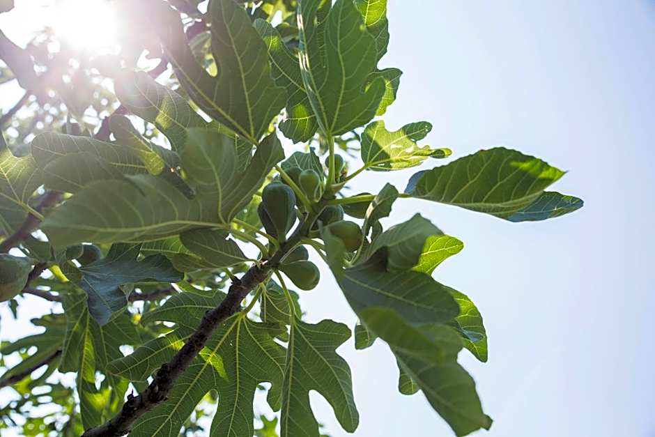 Albergo Mio Boutique Hotel - Adults Only