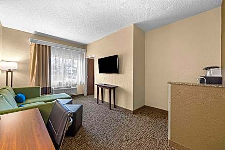 1 King Bed, Suite, Nonsmoking, Accessible