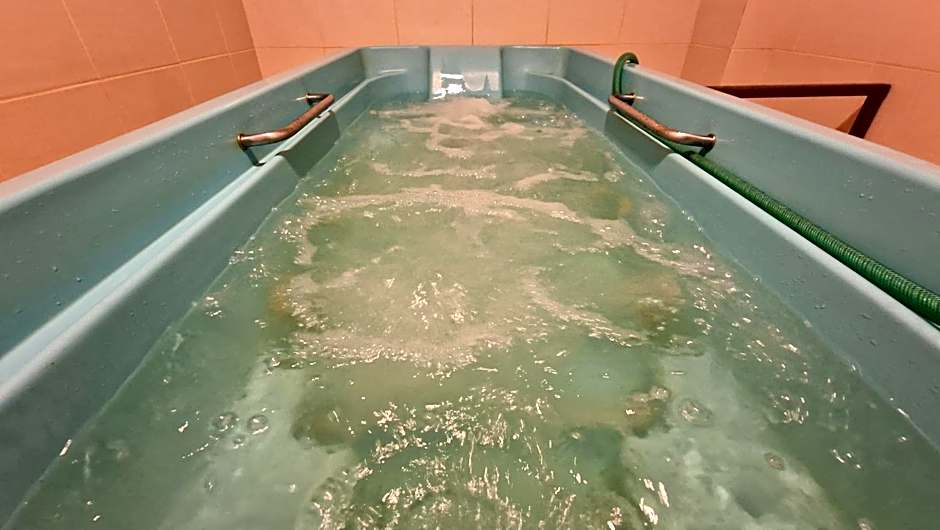 Hotel Bradul - Covasna