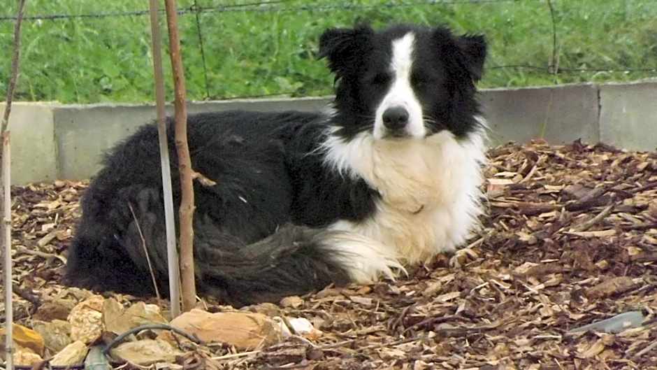 Barklysuites Apartments