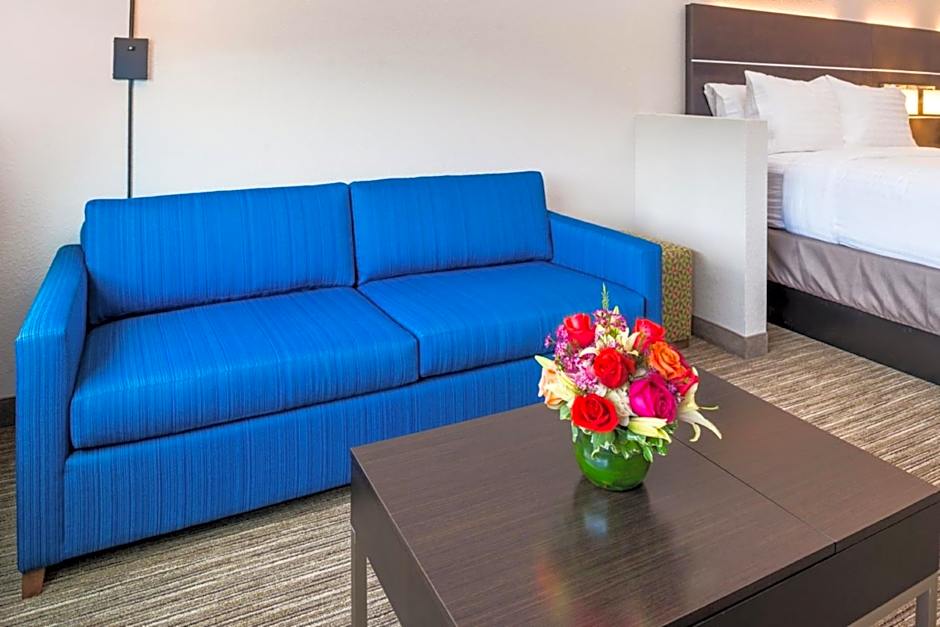 Holiday Inn Express & Suites Tampa North - Wesley Chapel By IHG