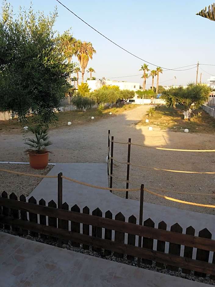 Delphini Studios - for the disabled