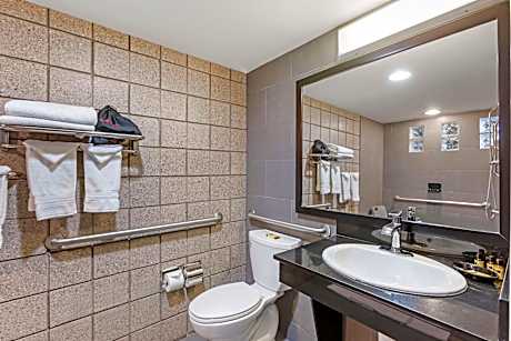 1 King Mobility Accessible Comm Assist Roll In Shower Wi-Fi Non-Smoking Full Breakfast