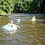 vakantieverblijf Nature