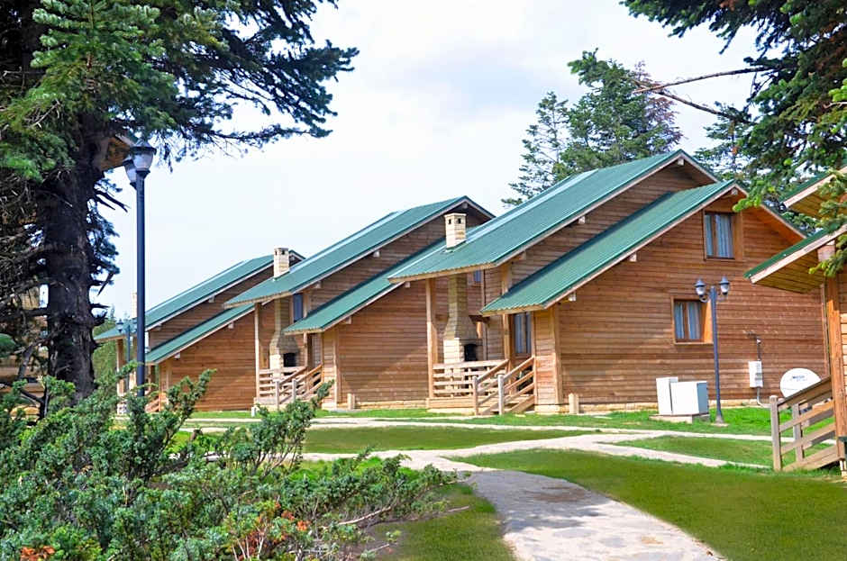 Uludag Orman Koskleri