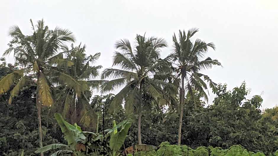 RedDoorz At Jalan Raya Baturaden