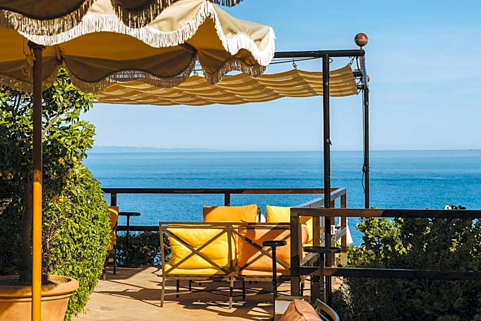 Il Pellicano