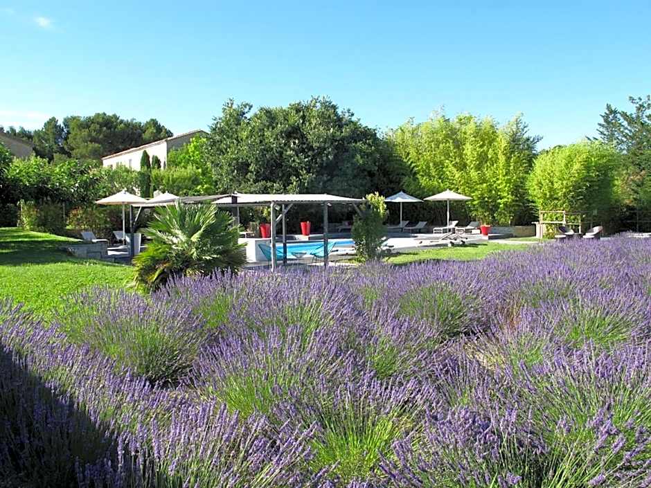 La Cour des sens, domaine d'hôtes- Spa piscine chauffée