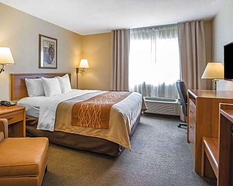 King Room - Non-Smoking