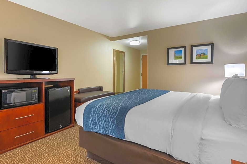 Comfort Inn Ocala Silver Springs