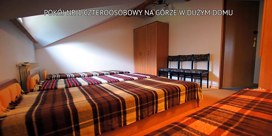 Bieszczady Sosnowa Aleja