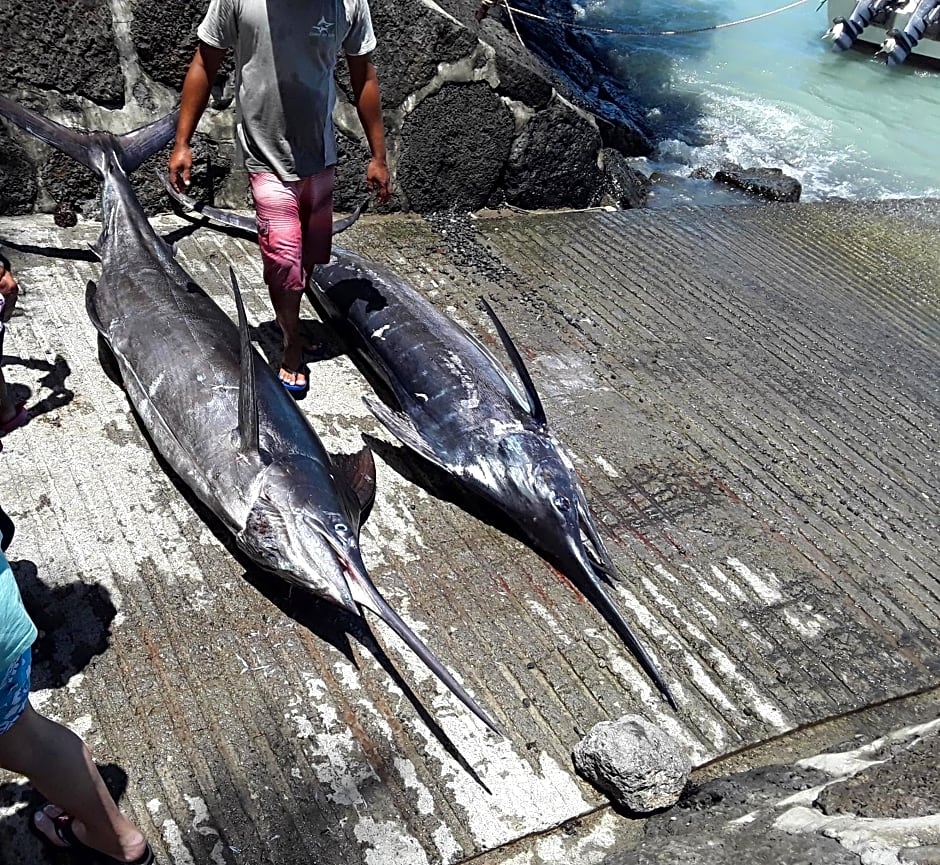 La Tonnelle Guest House