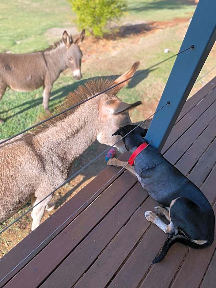 Sandalwood Downs Fabulous Farm Stay TOODYAY