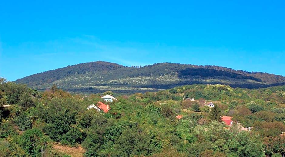 István Király Szálló