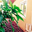 Jardim Secreto