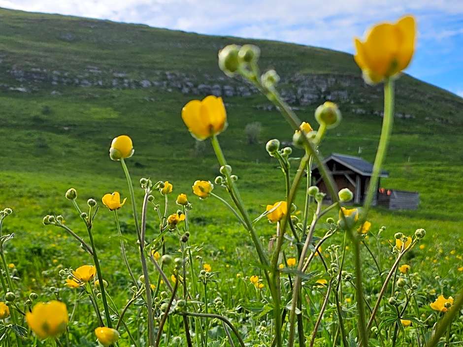 La Bicyclette Chambre Privée , Le Refuge Du Phoenix