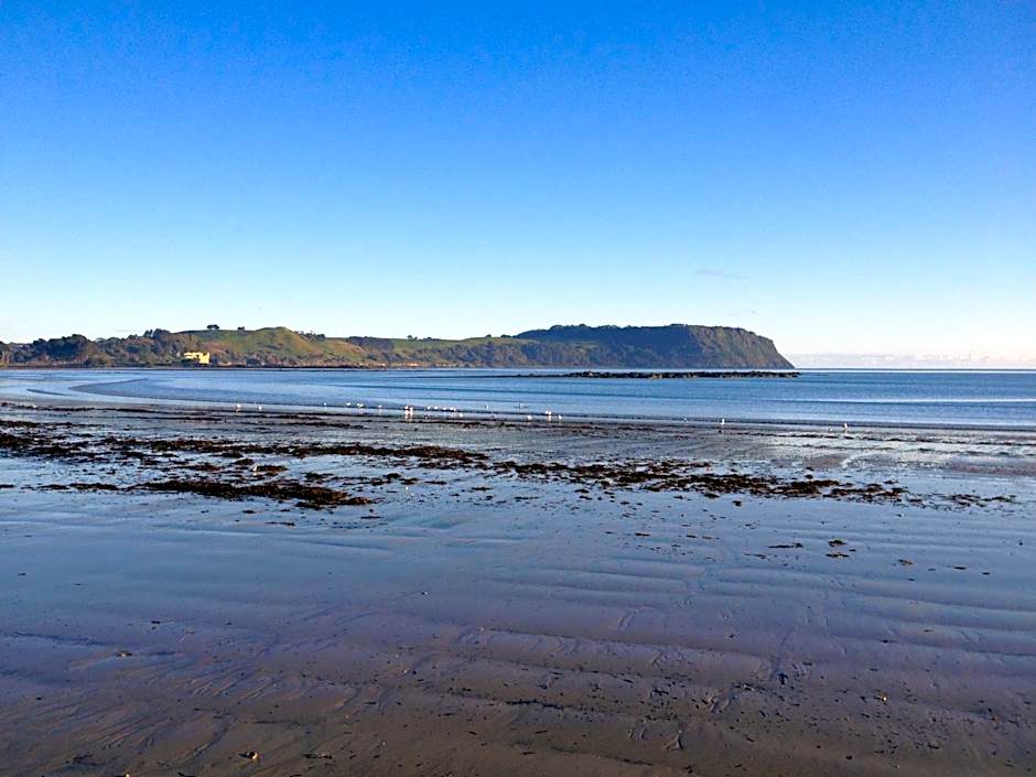 The Waterfront Wynyard