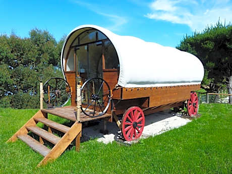 Wacky Stays - unique farm-stay glamping rentals, FREE animal feeding tours